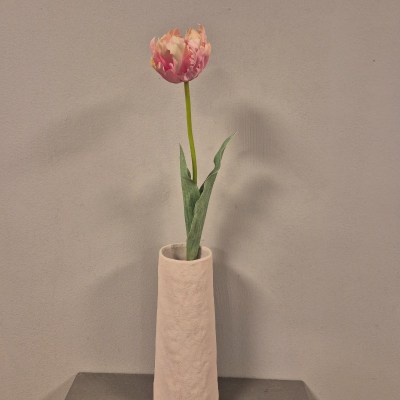 Tulp roze (1)